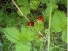 http://mi100.info/wp-content/uploads/2019/07/8-573x430.jpeg