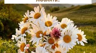 Цитата Дня