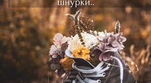 Цитата Дня