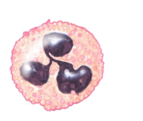 0601v1gd-c8a6-207x176.png
