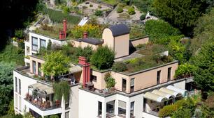 6 червня - Всесвітній день зелених дахів (World Green Roof Day) 
