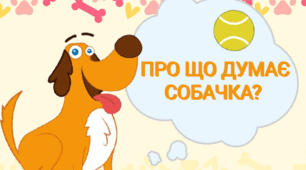 Дидактична гра "Про що думає собачка?"