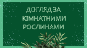 Догляд за  кімнатними рослинами