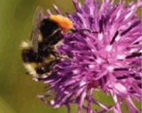 0601v7iz-6359-205x163.png