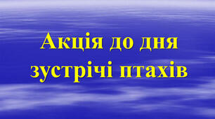 Замітка про проведені заходи до акції «День зустрічі птахів».