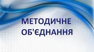 Виступ  на засіданні  методичної ради. Тренінг: «Професійна компетентність керівника гуртка  як одна з умов його успішної професійної діяльності»