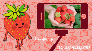 ПОЛУНИЧНИЙ настрій.  Селфi   з   ПОЛУНИЦЕЮ