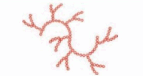 0601vchy-0fd0-143x76.png