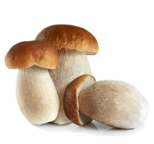 0601vci7-d772-305x285.png