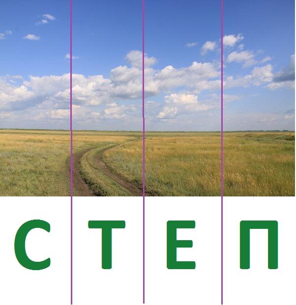 степ-цікаві-факти-2.jpg