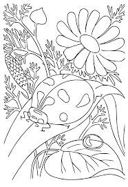 0601vekc-228e-186x271.png