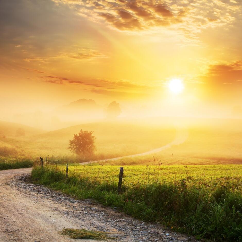10 Quotes For a Happy Life