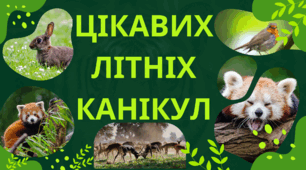 Вітальні листівки з літніми канікулами для учнів