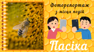 День БДЖІЛКИ-ТРУДІВНИЦІ. Фоторепортаж з мiсця подiй - екскурсія  на  ПАСІКУ