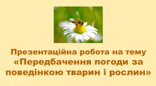 5 клас НУШ. "Передбачення погоди за поведінкою тварин і рослин" (за підручником Коршевнюк Т.В.)