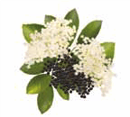 0601vlzc-f060-144x130.png