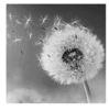 0601vm5k-b996-99x101.png