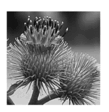0601vm5q-30e7-109x112.png