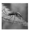 0601vm6q-3732-102x108.png