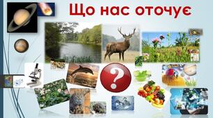 Діагностувальна робота в 3 класі з предмету "Я досліджую світ" з теми "Тіла навколо нас". Підручник Н. Бібік