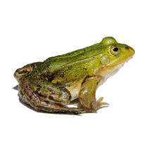 0601vn5y-c80e-213x201.png