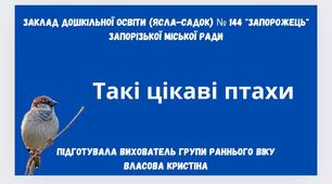 Заняття з розвитку мовлення "Такі цікаві птахи"