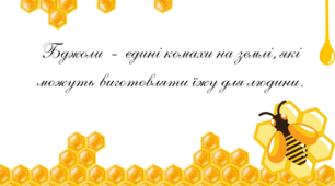 День БДЖІЛКИ-ТРУДІВНИЦІ.  Цікавинки з життя  БДЖІЛ