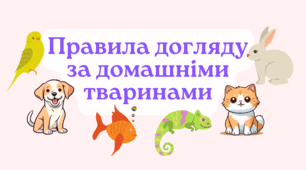 Робочий аркуш: "Правила догляду за домашнім улюбленцем: птах"