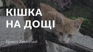 Е. Хемінгуей. «Кішка на дощі»