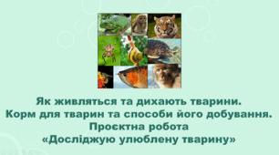 5 клас НУШ. "Як живляться і дихають тварини. Корм для тварин та способи його добування" (за підручником Коршевнюк Т.В.)