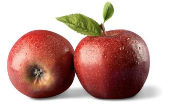 0601w1yv-efbb-348x222.jpg