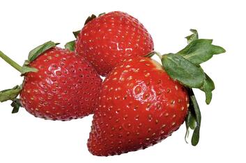 0601w1z4-1c99-353x235.jpg