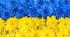 7 клас. Вступ. Українська мова єднає. Мовні обов'язки українців.