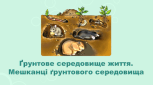 5 клас НУШ. "Ґрунтове середовище життя. Мешканці ґрунтового середовища" (за підручником Коршевнюк Т.В.)