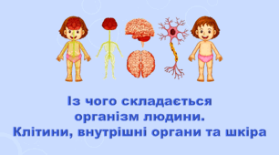 5 клас НУШ. "З чого складається організм людини. Клітини, внутрішні органи та шкіра" (за підручником Коршевнюк Т.В.)