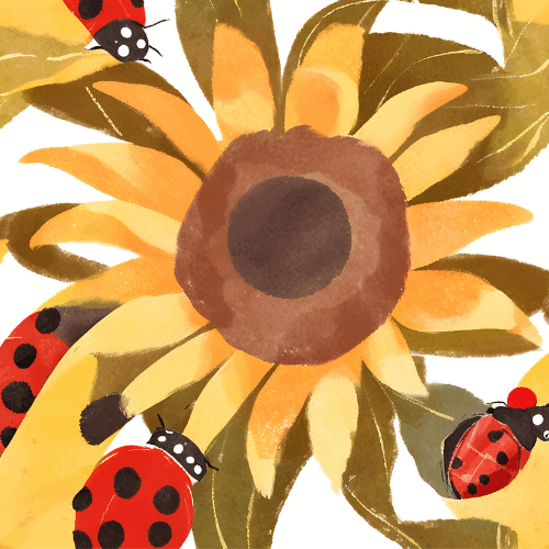 0601w8az-5a7b-500x500.png