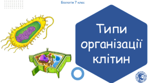 Урок на тему "Типи організації клітин" (Конспект, презентація, робочі аркуші)