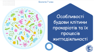 Урок на тему "Особливості будови клітини прокаріотів та їх процесів життєдіяльності" (Конспект, презентація, робочі аркуші)