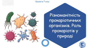 Урок на тему "Різноманітність прокаріотичних організмів. Роль прокаріотів у природі" (Конспект, презентація, робочі аркуші)