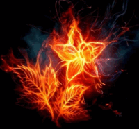 0601wb2f-b535-200x186.png