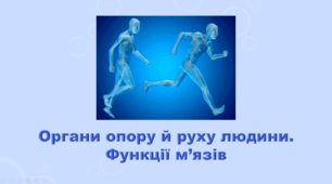 5 клас НУШ. "Органи опори й руху людини" (за підручником Коршевнюк Т.В.)