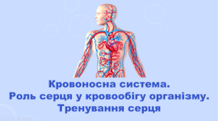 5 клас НУШ. "Кровоносна система. Роль серця у кровообігу організму. Тренування серця" (за підручником Коршевнюк Т.В.)