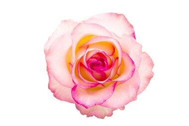 0601we5w-12a3-380x253.jpg