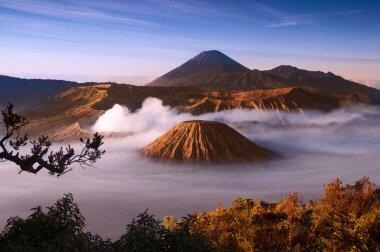 0601we62-66e3-380x252.jpg
