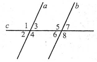 0601webt-1bf1-313x202.jpg