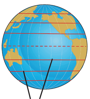 0601werf-c2be-308x341.png