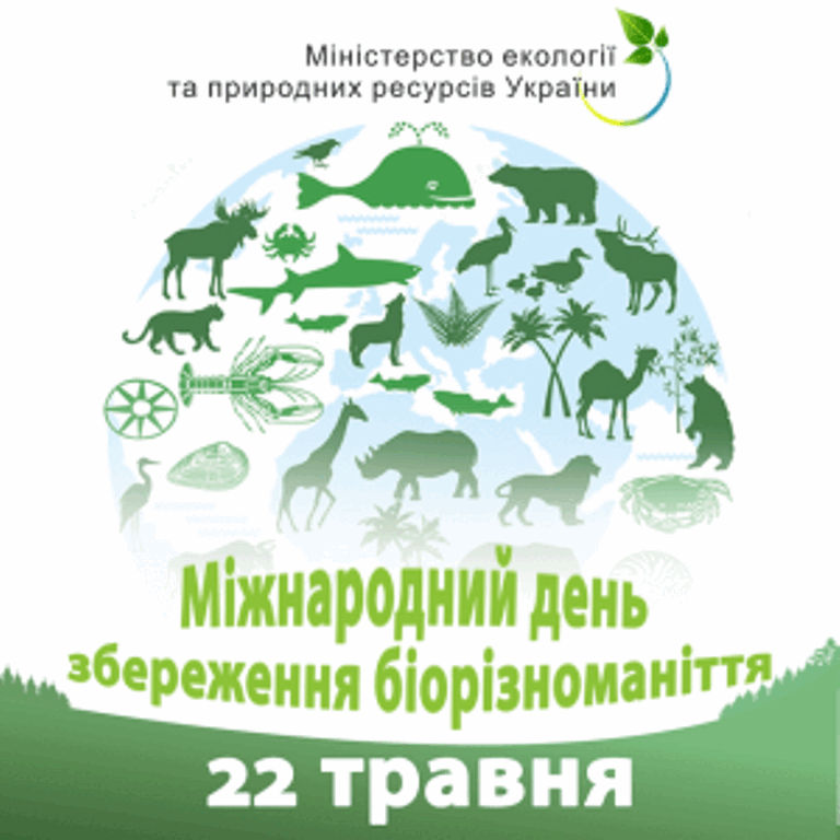 0601wj4n-1529-768x768.png