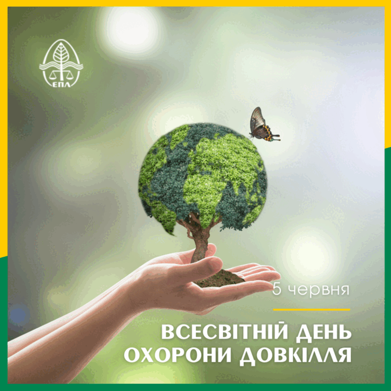 0601wj63-e046-798x798.png