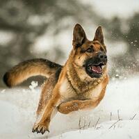 0601wj6o-18a1-200x200.jpg