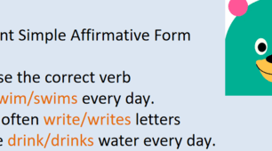 Present Simple. Exercises. Presentation
